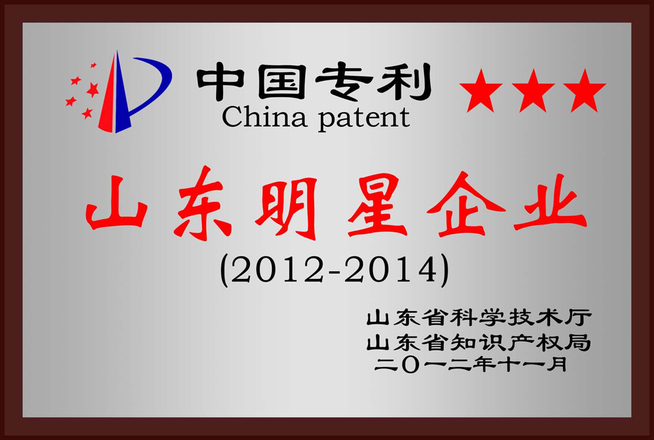 中国专利山东明星企业(图1)